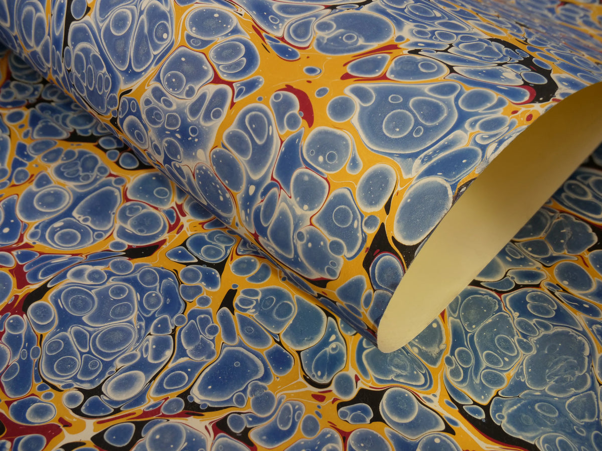 PAYTL1 French Shell– Shepherds Arts