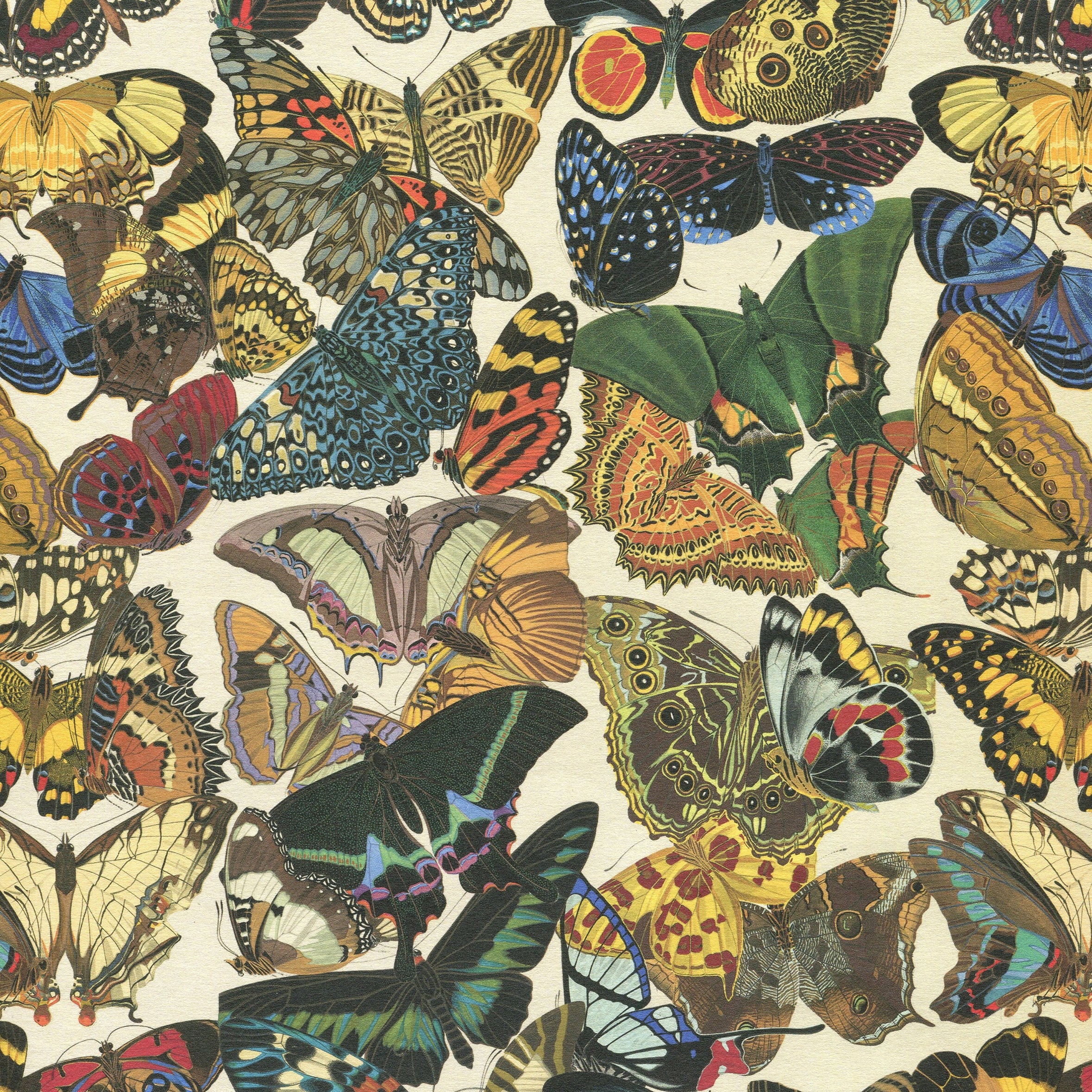 Pattern Papers - Figurative– Page 3 – Shepherds Arts
